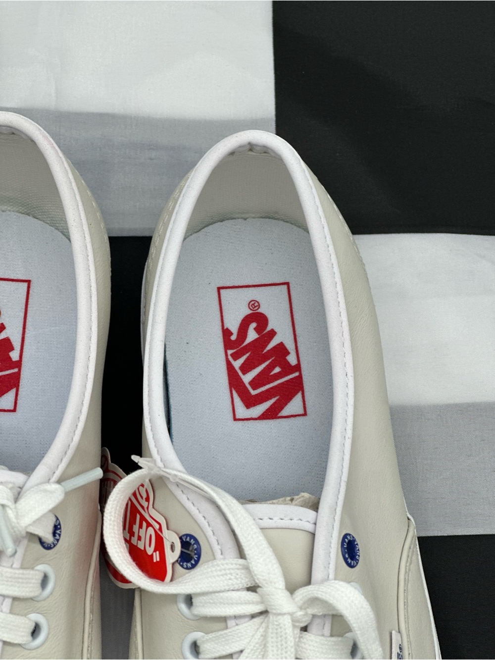 Vans Low-Top Sneakers in Off-White with Navy Trim - Picture 5 of 11